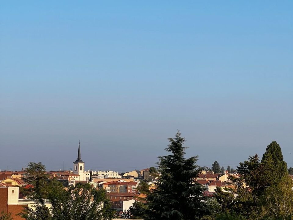 vimana pozuelo 19